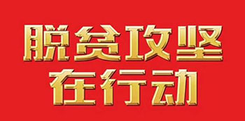 134756_500x500 134756_500x500