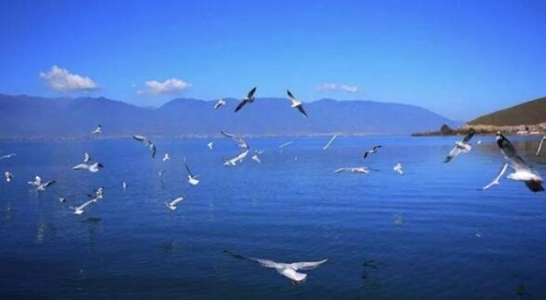 20180731140142_889 20180731140142_889