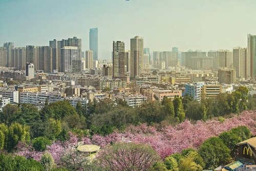 20180731140213_654 20180731140213_654