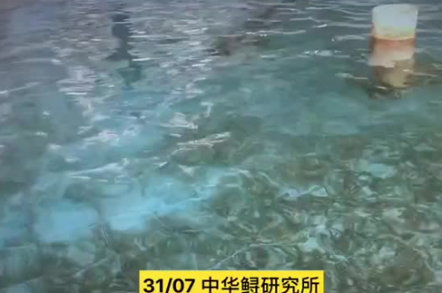 QQ截圖20180801103627