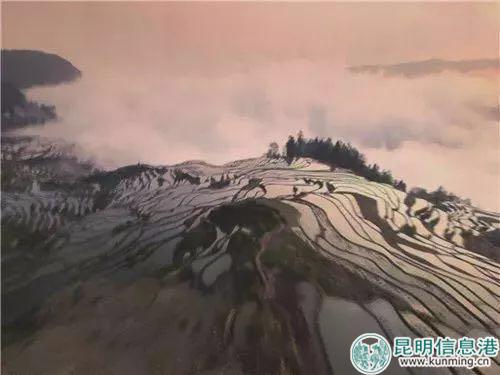 微信圖片_20180802180037