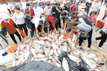 45_副本.jpg 45_副本.jpg