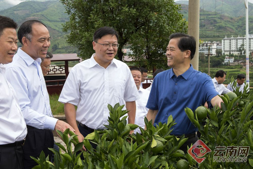 00300050320_2ac4de2b