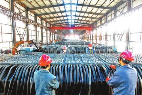 00300050461_818bd65c