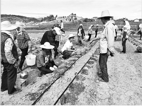 QQ截圖20180806092448 QQ截圖20180806092448