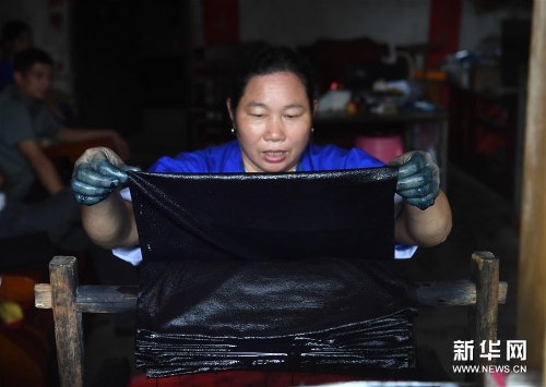 侗家婦女從染缸中取出染好的侗布 侗家婦女從染缸中取出染好的侗布