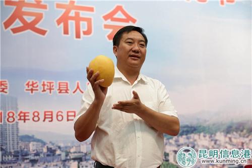 中共華坪縣委副書(shū)記李榮祥在介紹華坪芒果。實(shí)習(xí)記者俞逍 攝