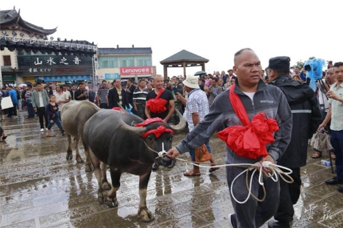 元陽新街:梯田里過火把節(jié)