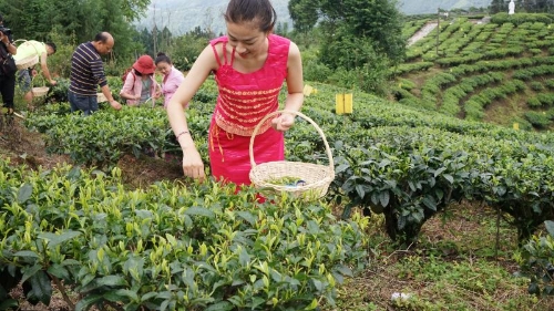 20180808095755133 20180808095755133