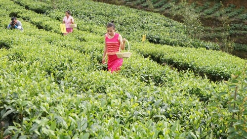 20180808095755598 20180808095755598