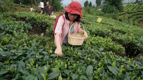 20180808095755979 20180808095755979