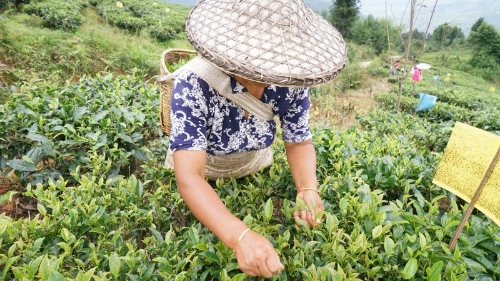 20180808095756546 20180808095756546