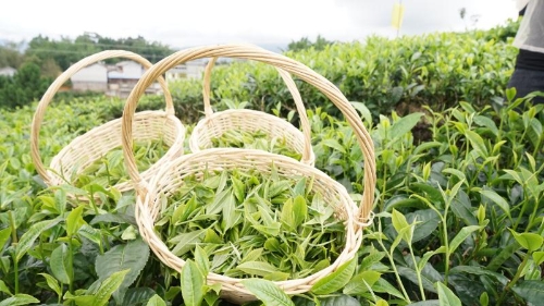 20180808095847888 20180808095847888