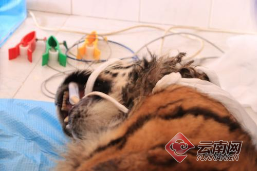 00300057922_d63c51b5 00300057922_d63c51b5