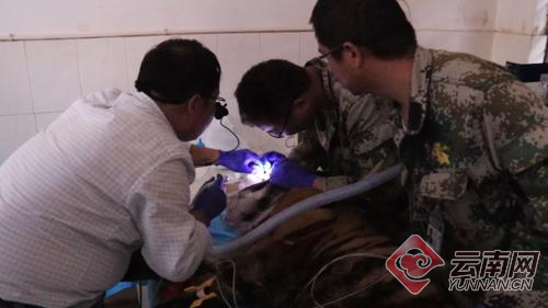 00300057925_372c6d15 00300057925_372c6d15