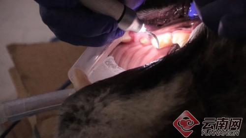 00300057927_a89adf89 00300057927_a89adf89