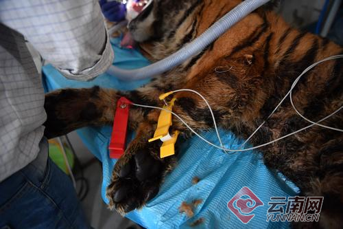 00300057928_21d6bb9b 00300057928_21d6bb9b