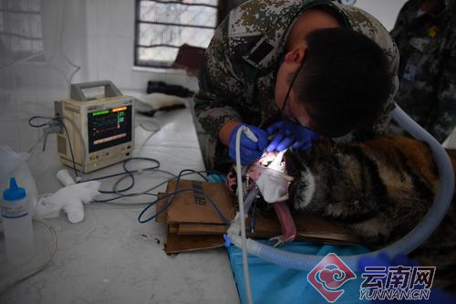 00300057929_dadc3f38 00300057929_dadc3f38