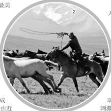 1533875061329 1533875061329