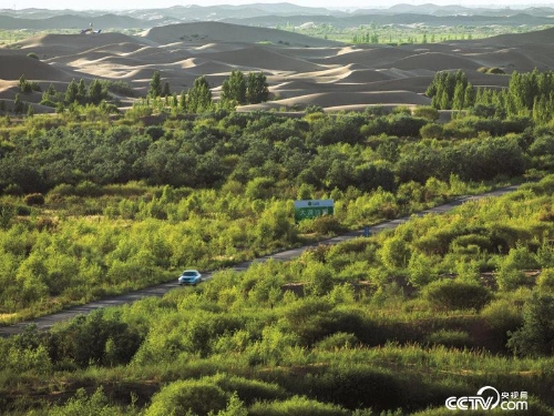 2018081316123687881 2018081316123687881