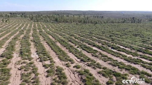 2018081316130530631 2018081316130530631