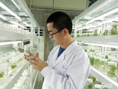 2018081316132968015 2018081316132968015