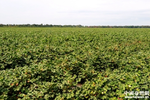 W020180814422036472357 W020180814422036472357