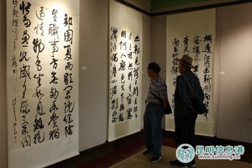 市民參觀欣賞書(shū)法作品。記者孫紅亮攝