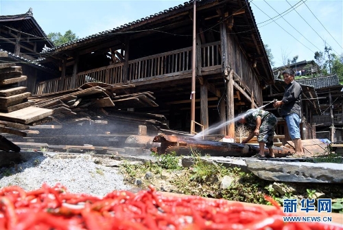 1123269652_15342510532731n 1123269652_15342510532731n