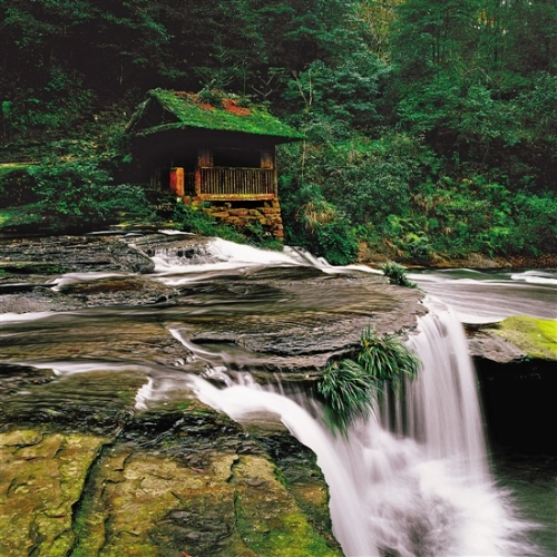 2cbb015c-99b5-4855-b01b-61646cd4cfd2 2cbb015c-99b5-4855-b01b-61646cd4cfd2