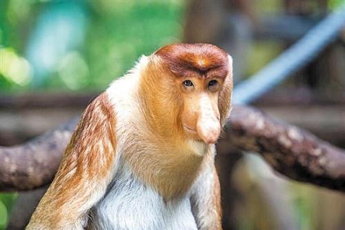 428aa92a-7ec7-48b0-97be-ea62829ff5dc 428aa92a-7ec7-48b0-97be-ea62829ff5dc