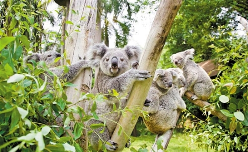 ebf6a596-af13-4140-ae93-05a1b0c75016 ebf6a596-af13-4140-ae93-05a1b0c75016