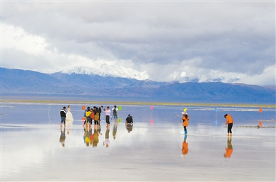 44525ef7-6c06-45f0-9bce-81dd3e2cbd23 44525ef7-6c06-45f0-9bce-81dd3e2cbd23