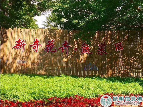 西華公園“首屆新奇花卉·蔬菜科普展”吸引了3.6萬人次入園觀展。供圖