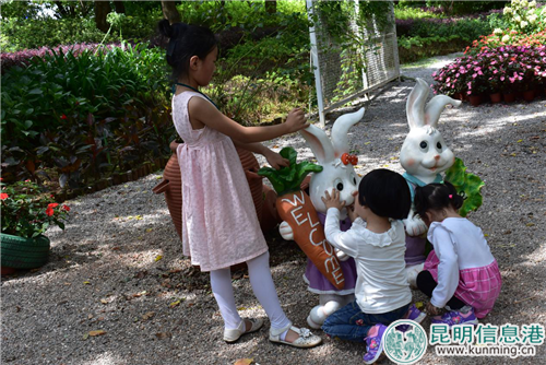 動物模型造景收到小朋友的青睞。實習(xí)記者 張樂凡 攝