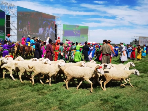 640.webp (22) 640.webp (22)