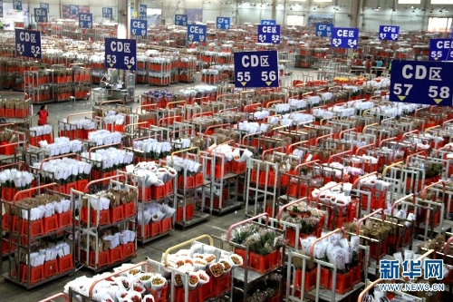 昆明花拍中心，等待交易的各類鮮切花。新華網(wǎng)念新洪攝