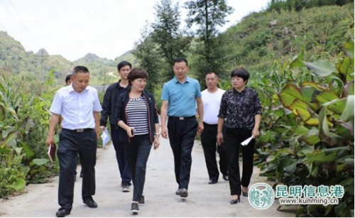 QQ圖片20180820110718