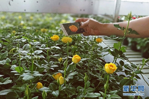 1123291818_15346442476611n