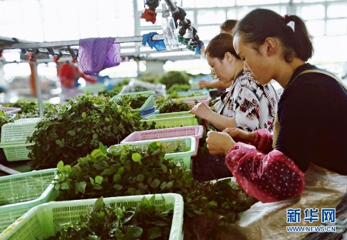 1123291818_15346442476981n