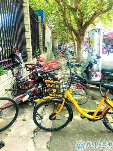 碧江路上共享單車扎堆人行道 碧江路上共享單車扎堆人行道