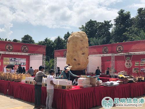 展銷(xiāo)會(huì)一角