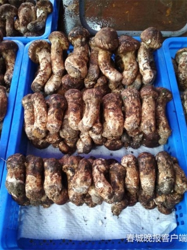 20180822173127ZLS1O7