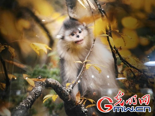 f44d305ea0a21ce7438005