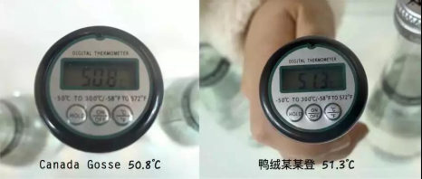 羽絨服5 羽絨服5