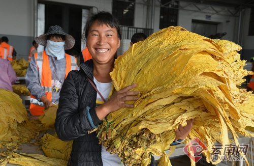 00300078574_f8f0ad69