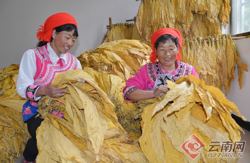 00300078575_5ca695e3