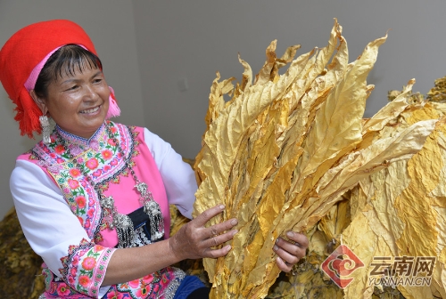 00300078576_95b7a156