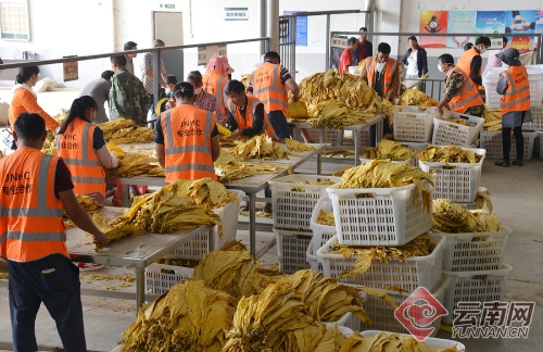 00300078577_9c07f592