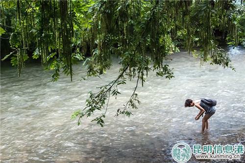 彩龍社區(qū) 網(wǎng)友叢中笑 攝2 (1) 彩龍社區(qū) 網(wǎng)友叢中笑 攝2 (1)